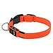 BSeen LED Dog Collar, USB Rechargeable Light Up Safety Pet Collar with 3 Glowing Modes & 3 Reflective Strings, Adjustable Soft Nylon Webbing, Great for Small Medium Large Dogs (Medium, Bright Orange)