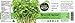 Super Sprout Broccoli Sprout Powder (Organic) - 70 Grams (2.47 Ounces)