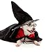 Shappy 48 Pack Black Plastic Wizard Glasses Round Glasses Frame for Kid Favor Costume Party Supplies, Halloween Costumes Glasses Set
