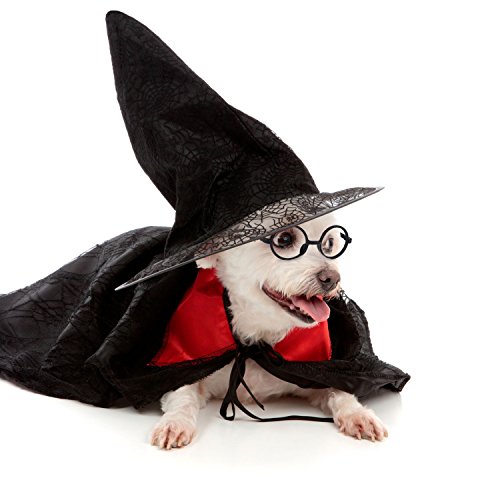 Shappy 16 Pack Round Glasses Frame No Lenses for Halloween Costume Party Supplies, Black