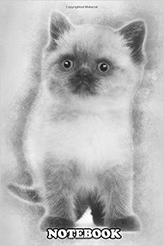 Notebook Portrait Of British Shorthair Kitten 5 Weeks Old Agains
