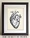 Anatomical Heart - 11x14 Unframed Anatomy Wall Art Print - Vintage Anatomy Poster For Doctors, Nurses, Medical Students and Healthcare Professionals - Great Heart Poster
