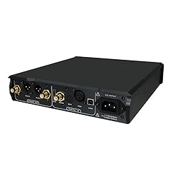 Musician Pegasus R2R DAC Decoder DSD1024 PCM1536