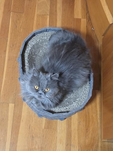 Cama de arranhão para gatos, 44 x 34 x 10 cm. Base para arranhar em cartão, material durável, resistente, proporciona conforto e diversão ao seu felino (cinzento)