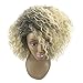 BonJoJo Afro Kinky Curly Wig Blonde Highlights Short Side Part Ombre Synthetic African Fluffy Hair Heat Resistant