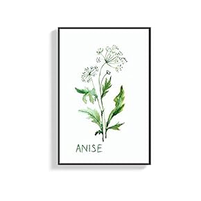 Framed Canvas Wall Art for Living Room, Bedroom Anise Canvas Prints for Home Decoration Ready to Hang - 16x24 inches