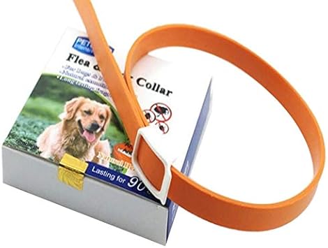 dog collar anti flea