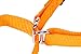 GOGO Pet Products 3/4-Inch Martingale Dog Collar, Medium, Orange