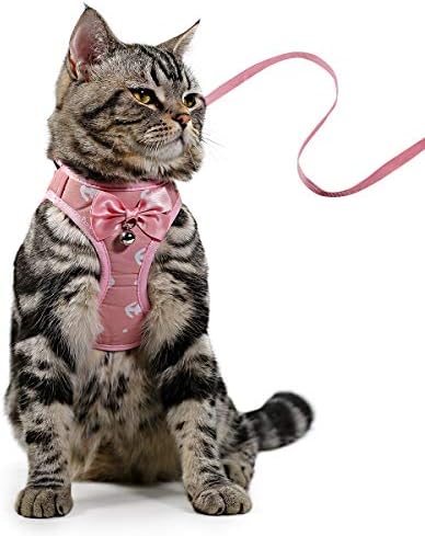 Surepet Escape Proof Cat Leash and Harness Set