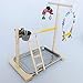 Tfwadmx Parrot Playground Bird Exercise Gym Playstand Wood Perch Cockatiel Stand Playpen Ladder Toys with Feeder Cups Cage for Parakeets Lovebird African Grey Conures Cockatielthumb 1