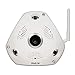 HOSAFE WIFI Wireless Security Surveillance Fisheye Panaromic VR Camera Night Vsion Motion Detection Built-in 32G Memory