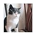 Stock Show Funny Cute Dog Cat Retro Fashion Sunglasses Glasses Transparent Eye-wear Puppy Cat Teacher Bachelor Cosplay Glasses Pet Photos Props for Small Dog Cat Costume