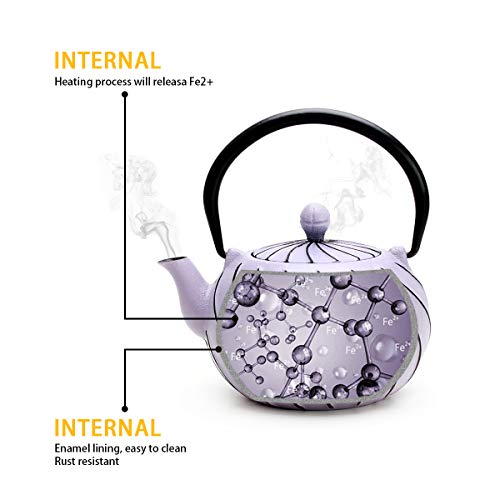 Tea Kettle, TOPTIER Japanese Cast Iron Teapot with Infuser, Stovetop