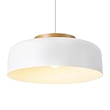 HUAWIYA Modern Pendant Lighting, 17.7 inch,Natural