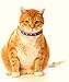 Outlaw Pink Studded Leather Safety Cat Collar