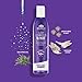 Powerful Purple Shampoo & Conditioner Set, Sulfate Free - Tones, Prevents, Balances Brassiness in Blonde, Color Treated, Silver, Grey Hair - Paraben Free, Vegan Friendly