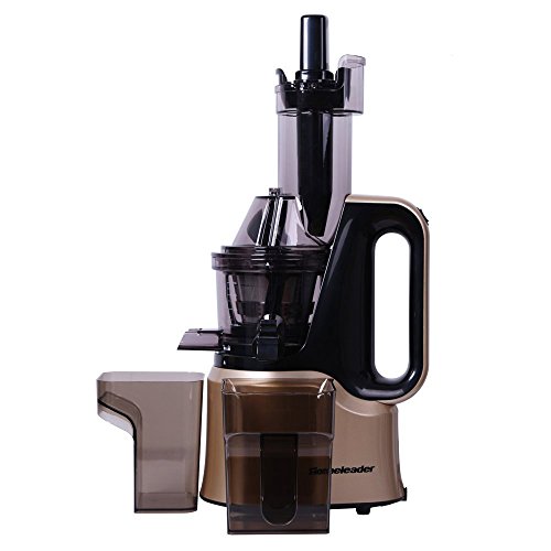 Click Here to See More Images Juice Fountain Juicer Extractor, Cold Press Juicer Machine, with Juice Jug and Brush to Clean Conveniently, High Nutrient Fruit and Vegetable Juice-B