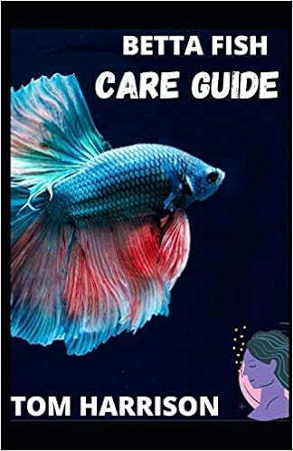 fighter fish in amazon