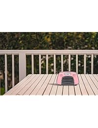 JONTER Altavoz Bluetooth con Reproductor de Radio FM, Altavoz Estéreo Portátil Inalámbrico con Graves Mejorados