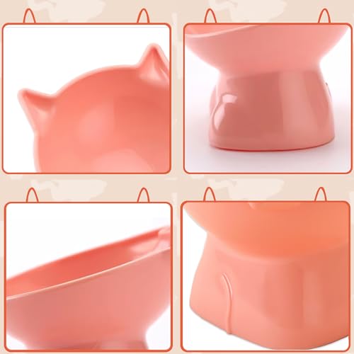 XJZWHN 2 Pcs Platos para Gato, Cuenco Elevados para Gato con 15° Inclinación Diseño Ergonómico, Proteger la Columna Cervical, Inclinable Tazón para Gatos, Cachorro
