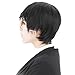 HH Building Ghoul Kaneki Ken Cosplay Wig Anime Costume Party Black Hair 12 Inch