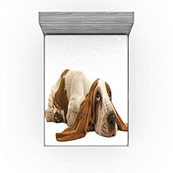 Ambesonne Basset Hound Fitted Sheet, Long Eared Dog