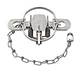 Duke 0490 Animal Trap, Coil-Spring, 5.5-In. Jaw