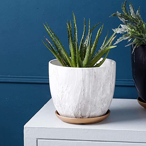 8 Inch Plant Pot with Drainage Holes and Saucer, 7 Inch Ceramic Pot
