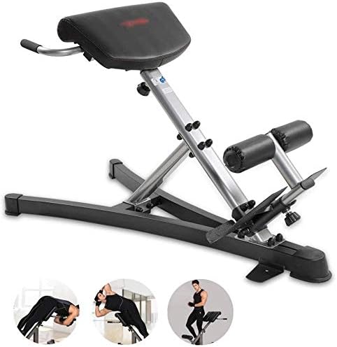 HOSTWEKLJT Adjustable Benches Dumbbell bench Roman chair Goat stand-up Slim waist machine Professional Fitness Equipment Sports Bench Family Exercise Fitness Dumbbell Waist abdomen training device Fit