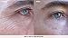 Nerium Day and Night Cream, 1 oz.
