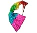 Belly Dance Fan Hand Made Long Veil Silk Bamboo Chinese Dancing Fan for Party Stage Performance Gradient Flame Rainbow Color 1 Pack 1.8m/5.9FT