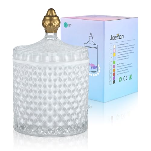 Joeyan 18 oz Glass Jar with Lid