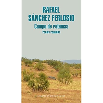 Campo de retamas: Pecios reunidos