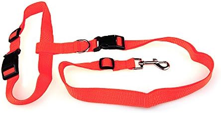 Dog Running Leash hands free for yard, Safe Dog Leash for Running, Walking, Jogging, Hiking &amp; Biking, Durable Training Leash for Small to Large Dog, Black Blue Red &amp; Orange (Red)