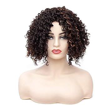 Amazon Com Fashion Wigs Short Curly Synthetic Wigs For Women Afro