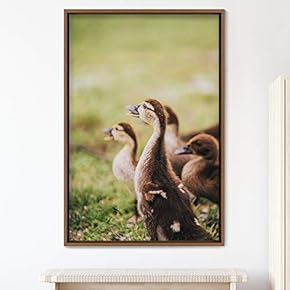 signwin Framed Canvas Wall Art Group of Birds...