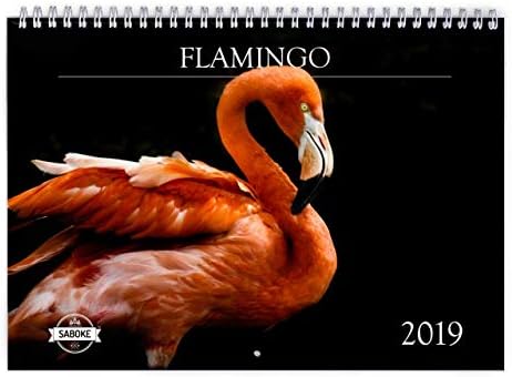 Flamingo 2019 Calendar