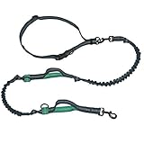 Hands Free Dog Leash with Dual Bungees, Shock Absorbing Dual Handle Running Dog Leash for up to 120 lbs Large Dogs