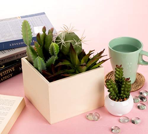 2 Genie+Crafts+Unfinished+Collectibles+Succulents