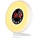 Wake Up Light Alarm Clock, [2018 UPGRADED] Digital Alarm Clock with Sunrise Simulation, 7 Colors Night Light, 6 Nature Sounds, FM Radio for Bedrooms and Heavy Sleepers by LBell
