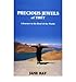 Precious Jewels of Tibet A Journey to the Roof of the World by Bay, Jane ( Author ) ON Jul-27-1998, by