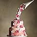 Anti-Gravity Pouring Cake Kit - Create Your Own Showstoppers!Cake Support Structure Frame for Birthday/Wedding/Anniversary Party