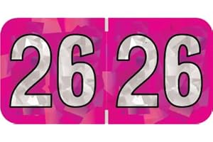 2026 Year Stickers, Doctor Stuff 2026 Chart Stickers, Holographic Fuchsia Colored, USA Made Year Labels for End Tab File Folders, 500 Labels per Roll, 1 Roll, 3/4" x 1-1/2"