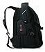 Swiss Gear SA3118 Black with Blue Laptop Backpack - Fits Most 15 Inch Laptops and Tablets