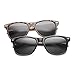 zeroUV Classic Eyewear 80's Retro Large Horn Rimmed Style Sunglasses (2-Pack Smoke Lens (Black + Tortoise))