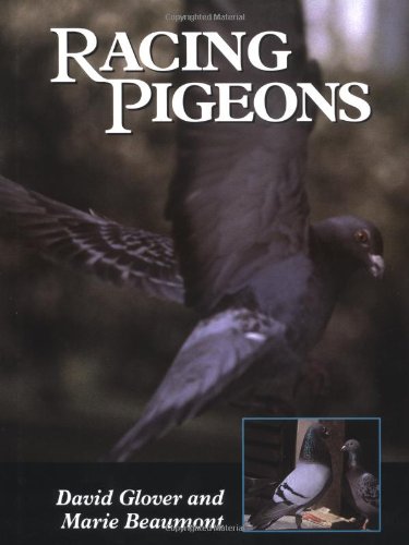 Racing Pigeons