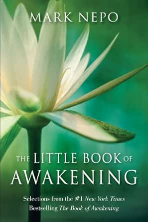 The Little Book of Awakening: Selections from the #1 New York Times