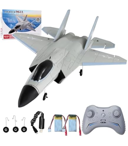 Amazon.com: XMFLFH FX9631 4CH Outdoor Remote Control Airplane