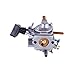 Podoy BR600 Carburetor for Stihl BR550 Parts C1Q-S183 Carb with Air Filter Fuel Filter Spark Plug Primer Bulb BR500 BR600 Backpack Blower Tune Up Kit