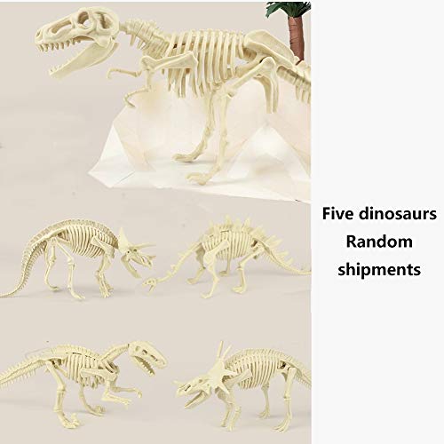 Dinosaur Fossils Dig Kit for Kids，Dig Up Dinosaurs Skeleton Set